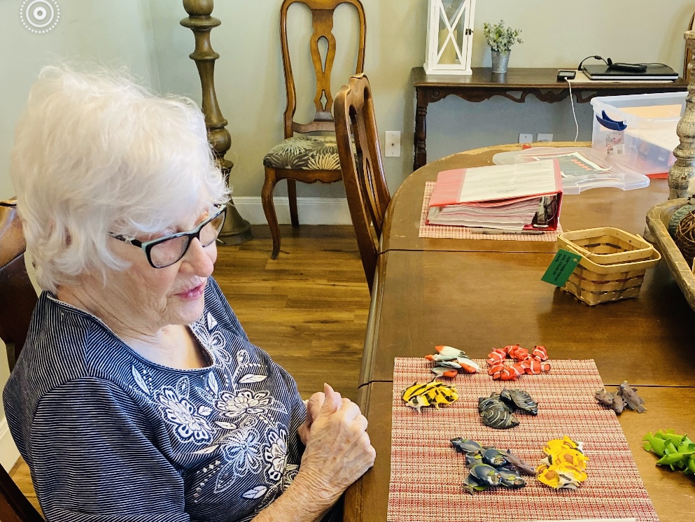 Using Sifting and Sorting Bins for Memory Care