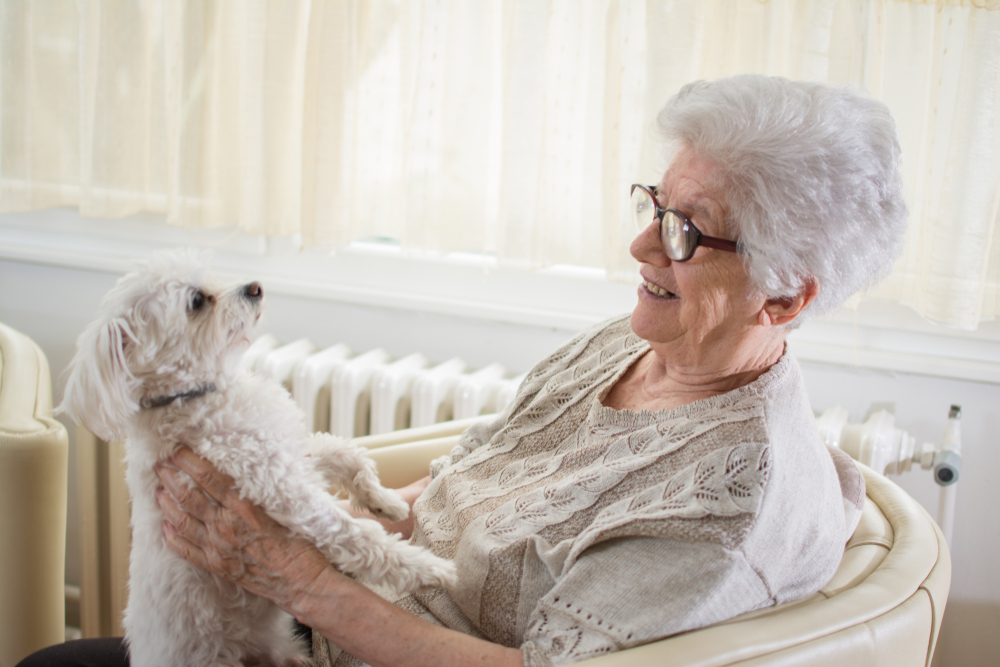 Seniors and Pets: What Are the Surprising Benefits?