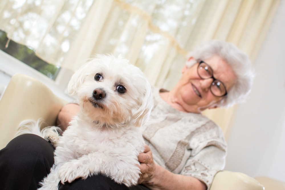 The Best Types of Dogs for Seniors in Assisted Living